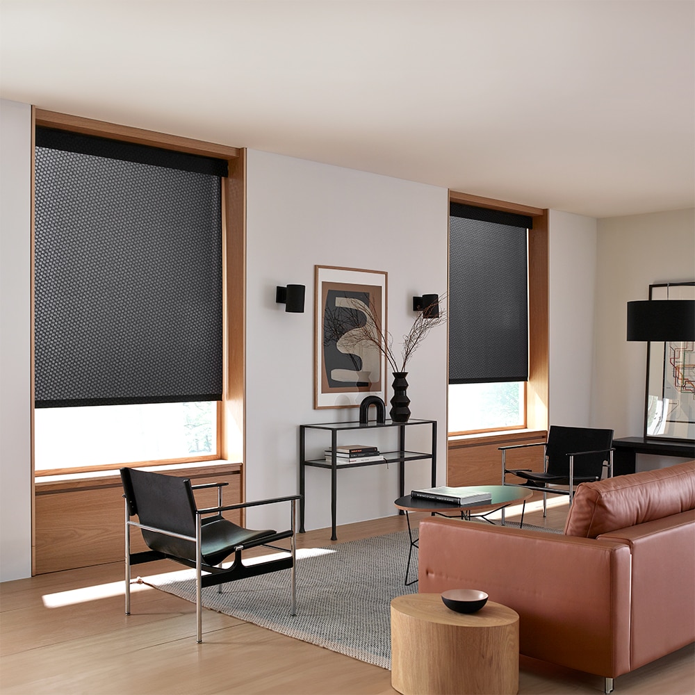 Premium Light Filtering Roller Shades